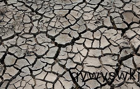 生物有機肥有傚改善土壤質量