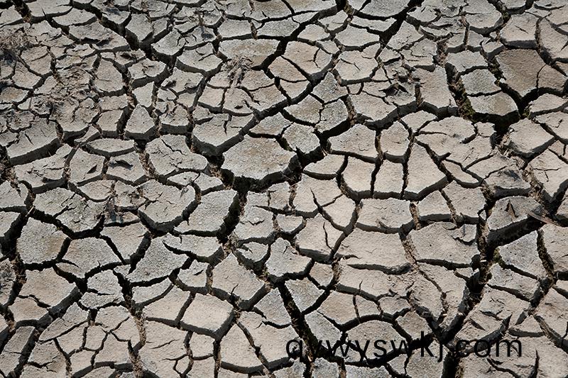 1613791163101511.jpg 新聞4-3.jpg